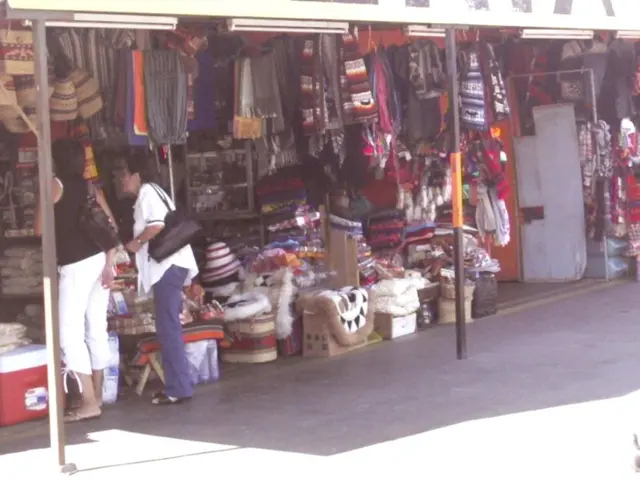 Narrowing Gap in State Pensions for Gender, Yet Diversity in Private Retirement Funds Remains...