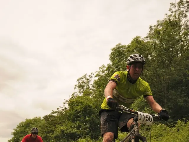 Ranking Top Dividend Exchange-Traded Funds Across the Globe