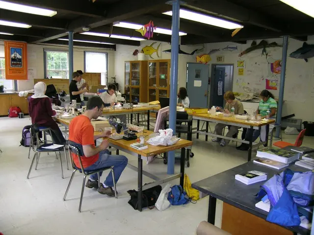 Austria's Student Loans: Crucial Facts and Details for Your Educational Finance Management