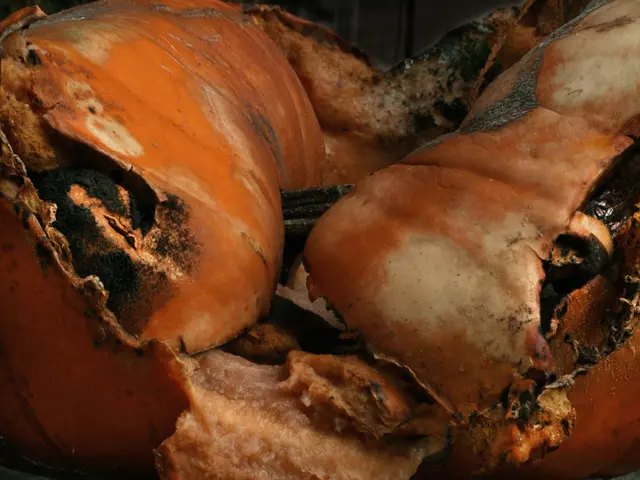 Modification in Prices for Dönerfabrik Birtat's Products