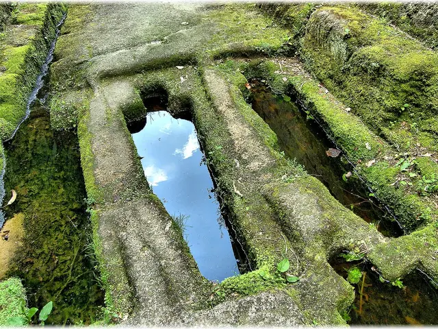 Record-Breaking Green Ammonia Auction by SECI: Green Hydrogen Sale Reaches an Unprecedented Low...