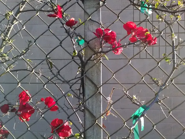 Municipal leader Kretschmann expresses accountability during the financial crisis, stating, "The...