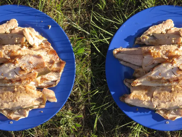 Following the strikes, a deal on the collective agreement is reached at the Döner factory Birtat,...