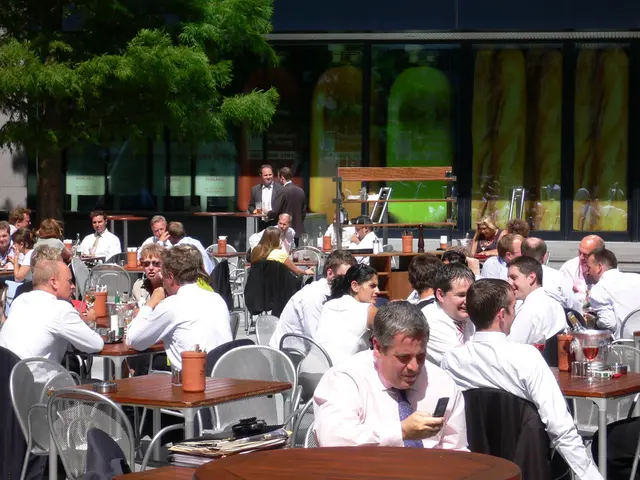 Application counts for the specified program