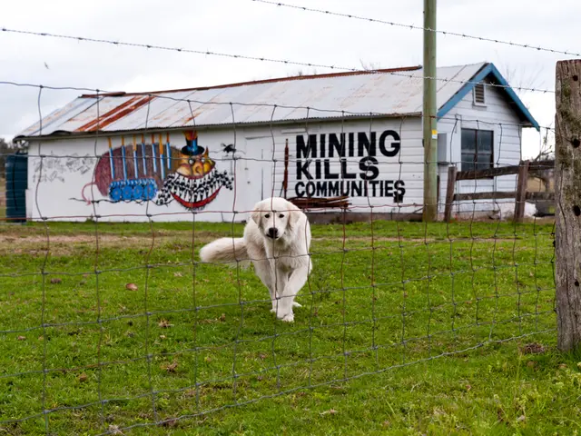 Fear Towards the Secret Property Value Taxation?