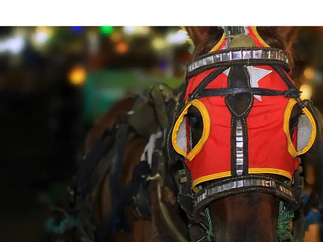 Progress in the creation of Neue Hulsberg district, Bremen, moving forward positively - Building...