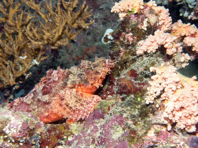 Redefining Financial Strategies for Oceans