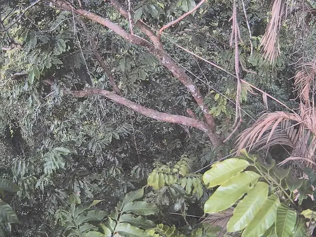 Expanded palm oil market to reach an astounding USD 98.7 billion by the year 2034.