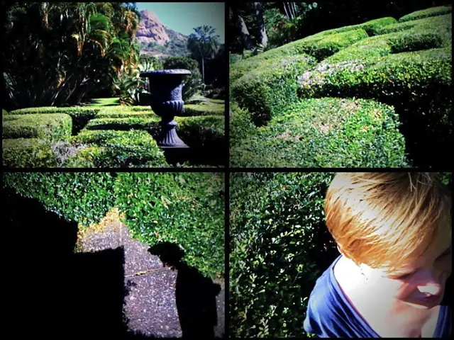 Probing Justin Billingsley's Influence in Connecticut