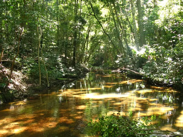 Lawsuits Filed by Panama to Terminate Port Contract at the Canal, Linked to Hong Kong, Amidst the...