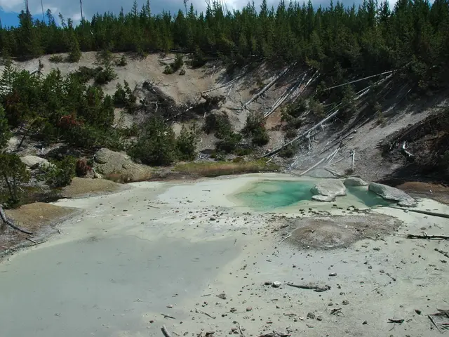 Exploring the potential for silence on environmental issues?