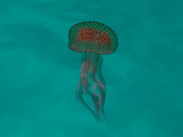 Large numbers of jellyfish causing complete halt of operations at France's primary nuclear power...