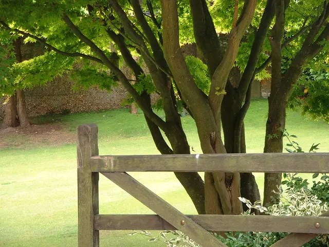 Sorting out the valuable from the worthless or insignificant elements.