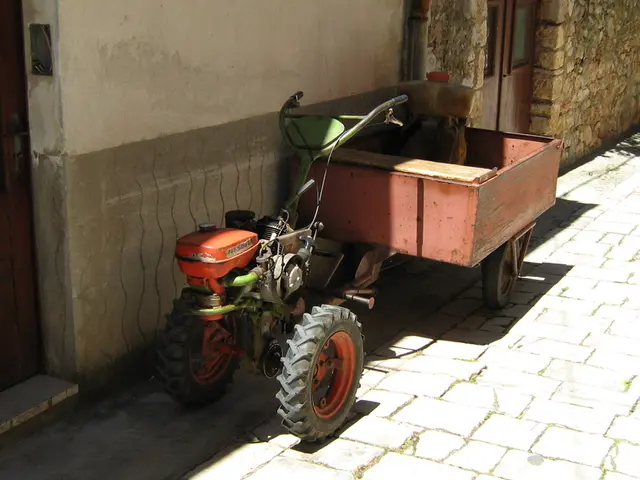 Consultations have been held regarding the following matters by the Commission: