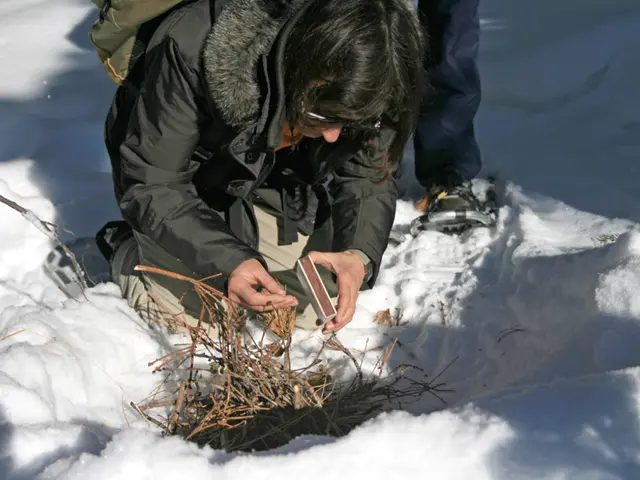 The Internal Revenue Service (IRS) offers tax relief to Californian wildfire victims, pushing back...