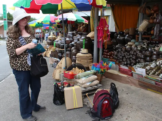 Strengthening Swedish Krona Leads to Decreased Costs for Travel Abroad