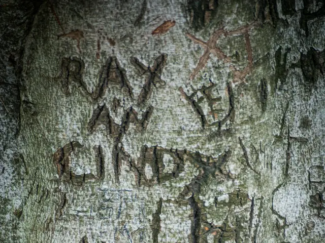 KBRA Discloses Twelve Credit-Related Items: June 2025 Edition