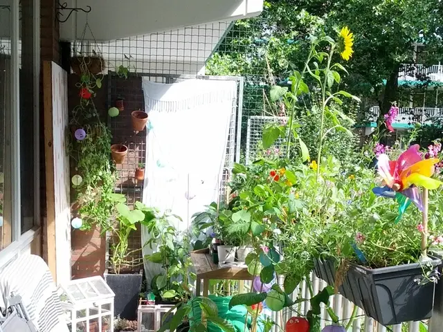 Largest Real Estate Transactions of 2024, Ranging from an Elite Home in a Premium Location to the...