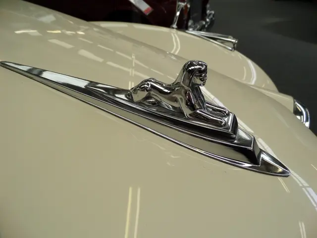 Cadillac Contemplating Crafting Its Own Version of the 911 Dakar?