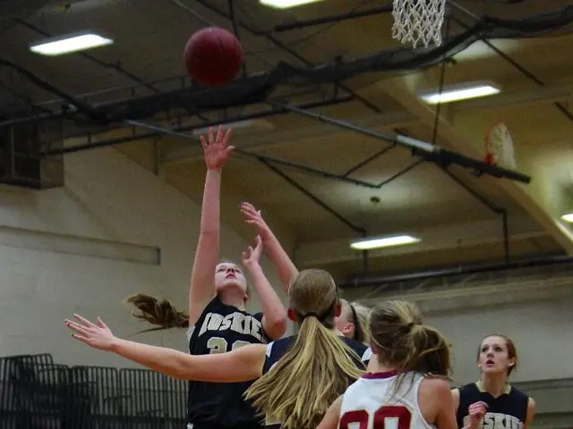 Expansion fees divvied among WNBA players marks a distinctive departure