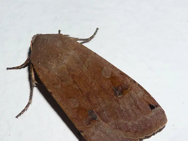 Manchester Invites Landlords to Attend Open Forum