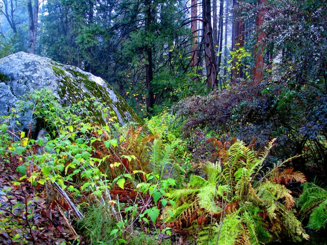 Mining conglomerate seeks to explore lithium deposits in Thuringia - Key concerns surrounding the...