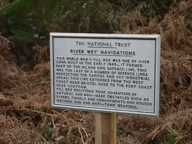 Commission's Role in Crafting Report on Program Execution