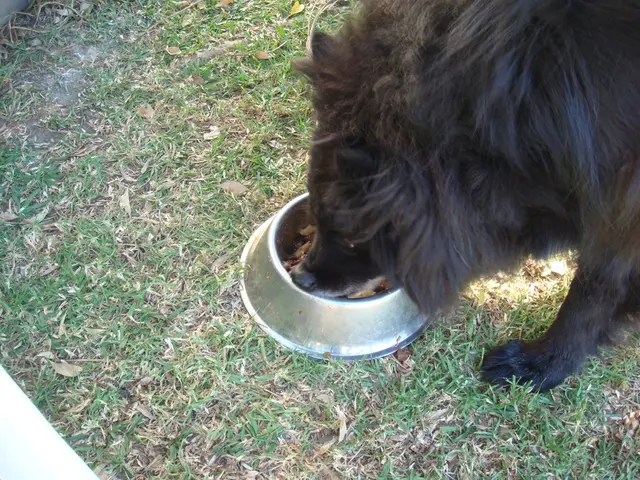 Combat victims afflicted by the African plague in Estonia will provide sustenance to Ukrainians.