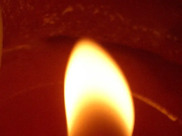 Understanding a corporation's rate of cash expenditure for beginners