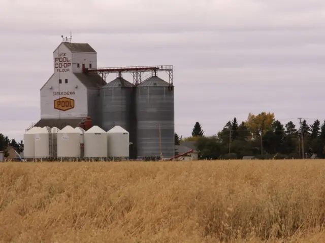 Company announces Sikandar Ali Memon as the newly appointed CEO and Managing Director