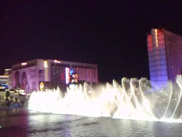 In this image in the middle, there is a water fountain. At the bottom there is water. In the...