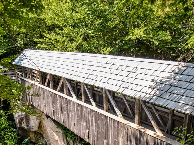 In this image we can see a bridge with wooden railings. Also there are trees, plants and rocks. In...