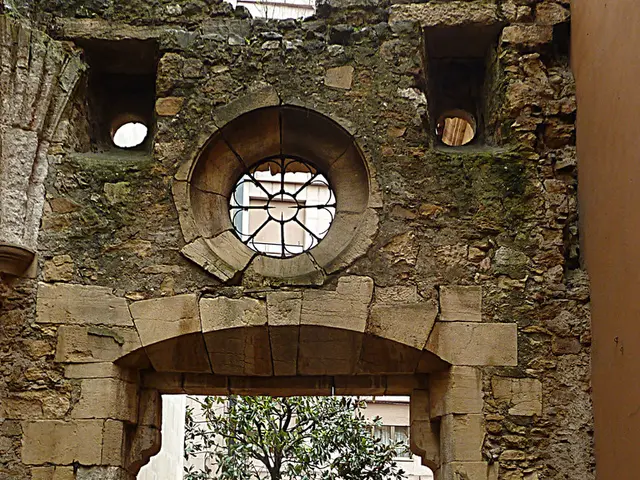 This looks like an arch. This is an iron gate. I can see the tree with branches and leaves. I can...