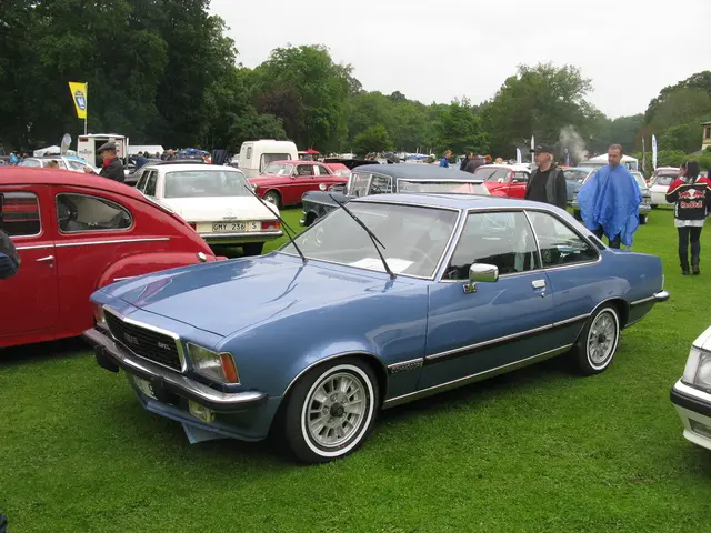 In this image I see number of vehicles and I see the green grass and I see number of people and I...