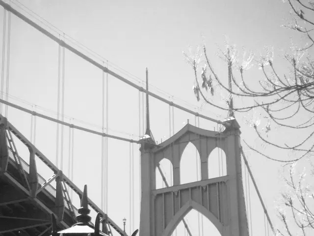 In this picture we can see a old image of the suspension bridge. In the front bottom side there is...