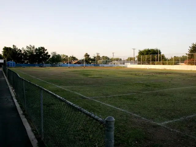 In this image, at the bottom there are fence, grass, road. In the background there are trees,...