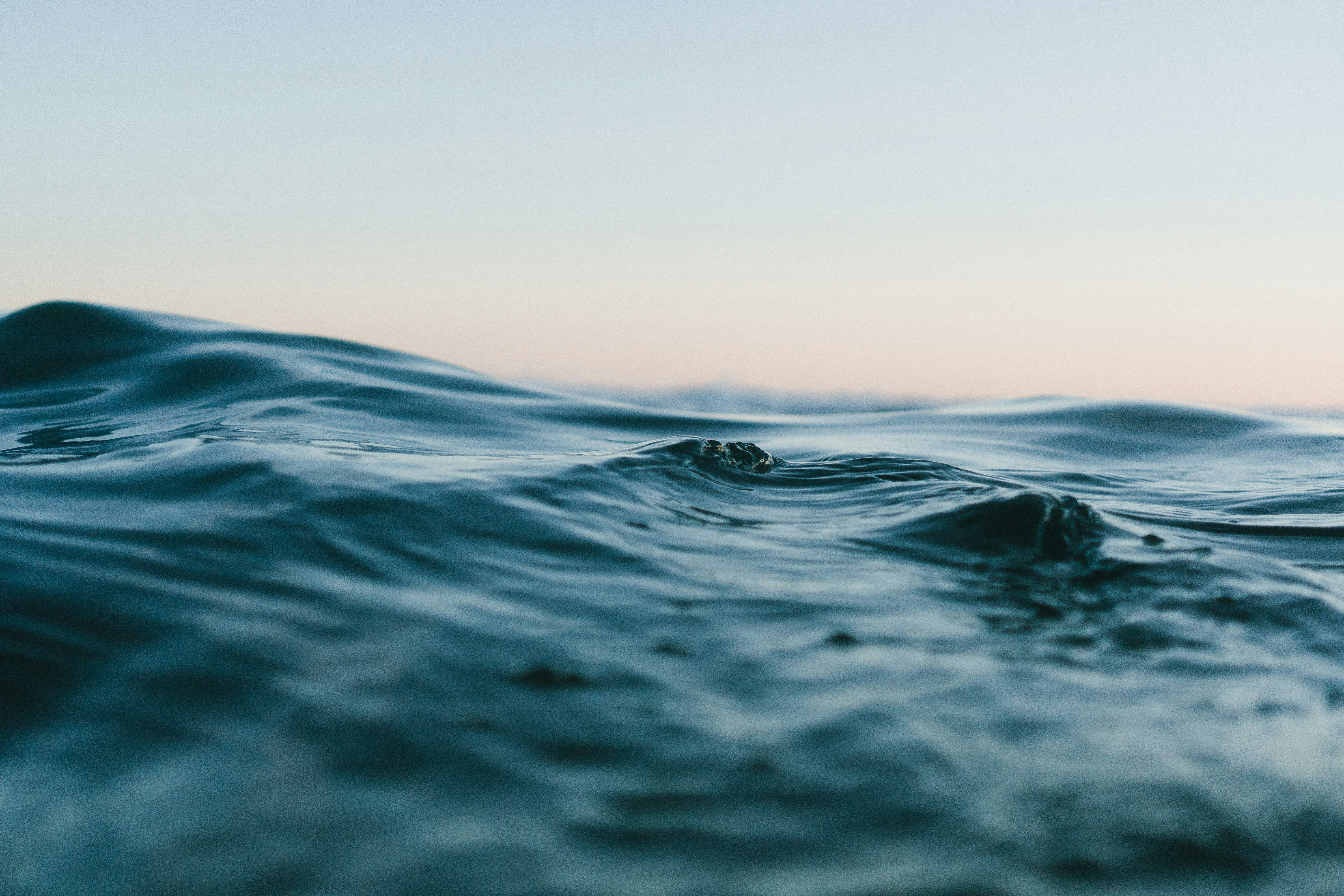 Regulation often tightly controls the insurance sector; this article discusses the effects of these regulations on policyholders.