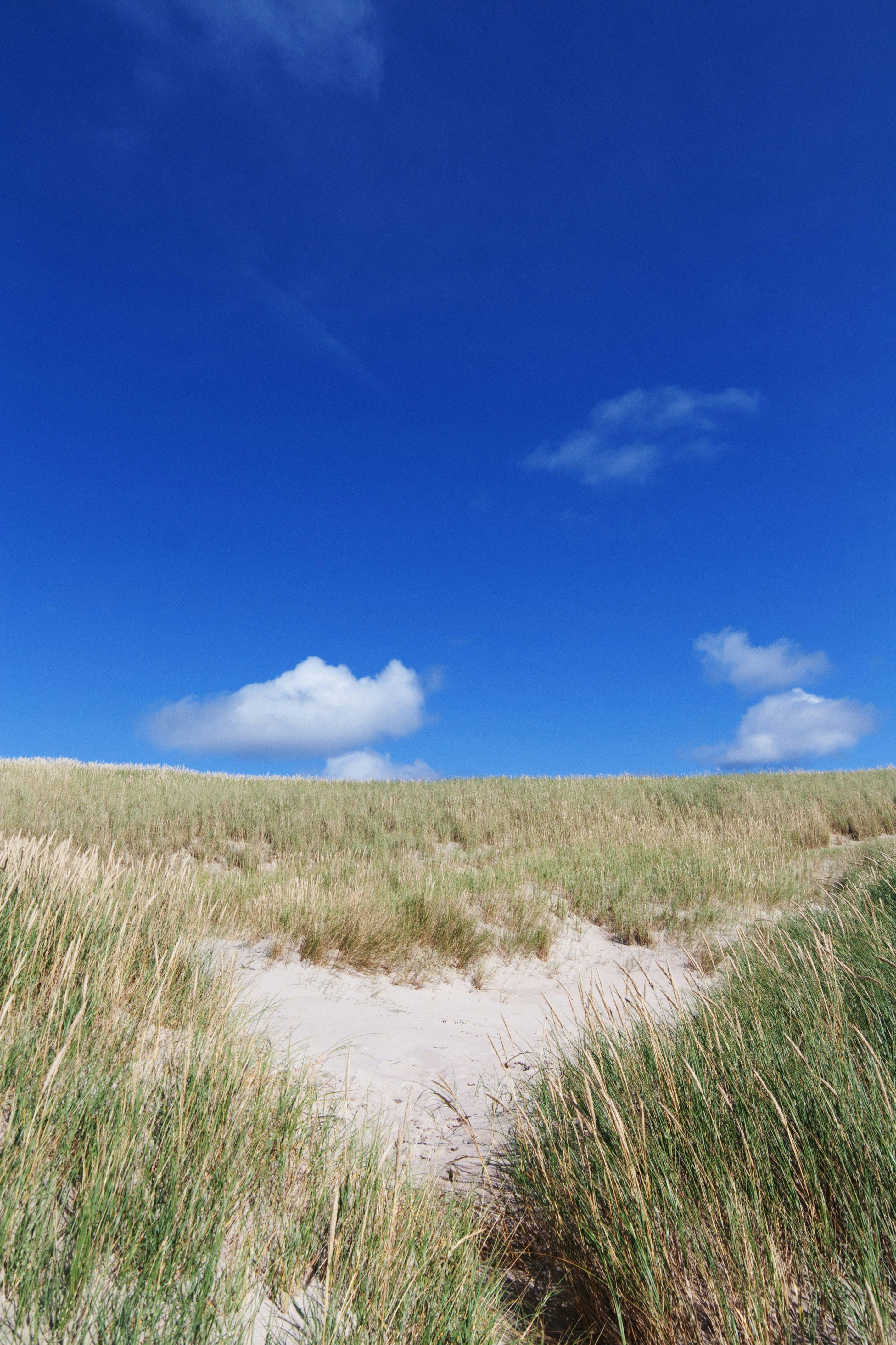 Struggles persist in fostering off-site interactions without hindering the potential of staff...