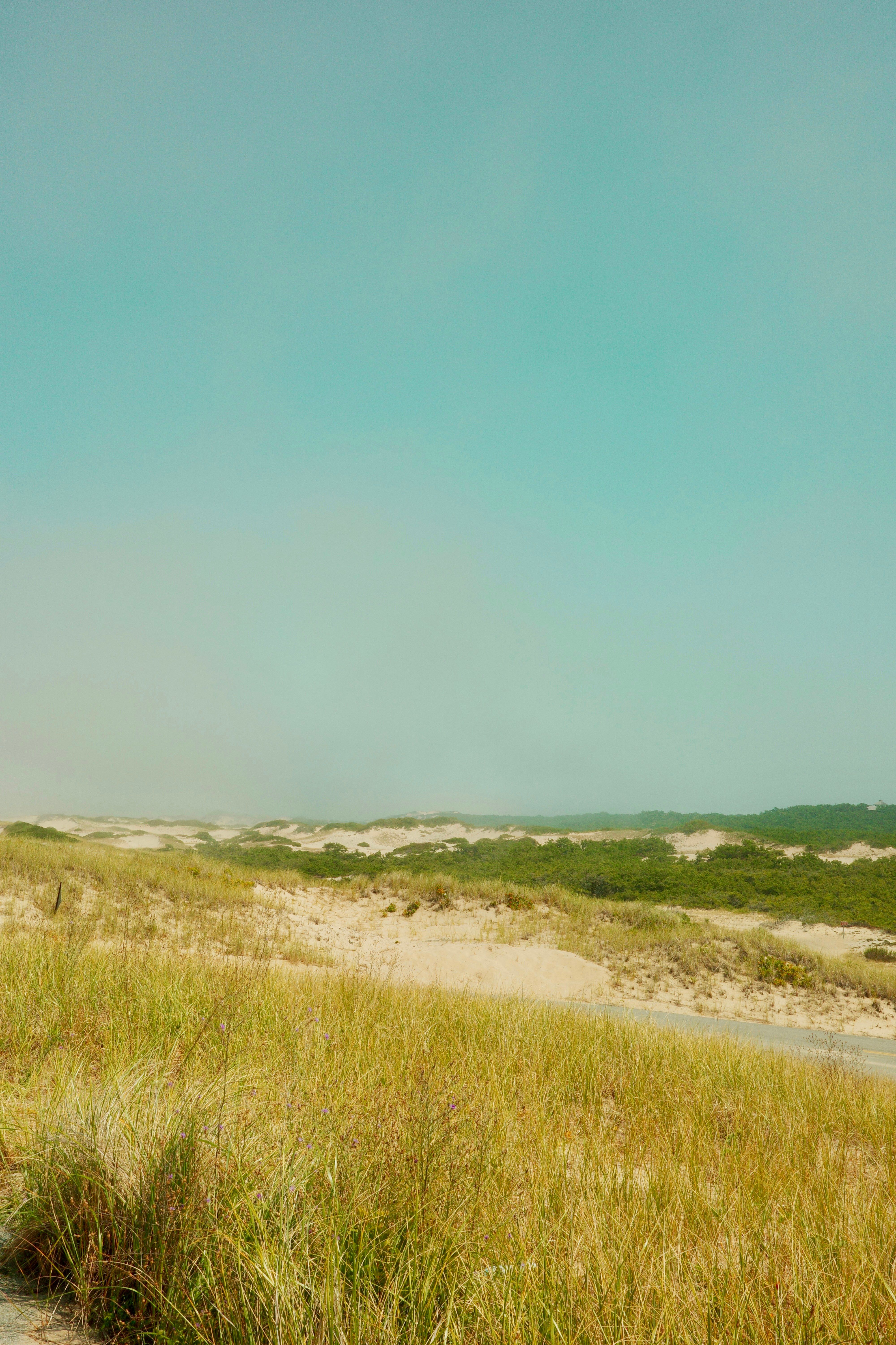 Media Maven Mike Soutar: Pioneer with Decades of Experience in Various Aspects of the Media and...