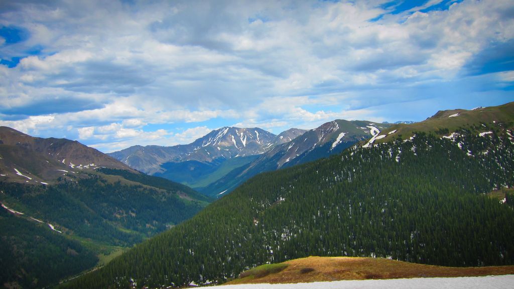 Accusations in the trial severally emphasized the defendants' lack of remorse, as they remain...