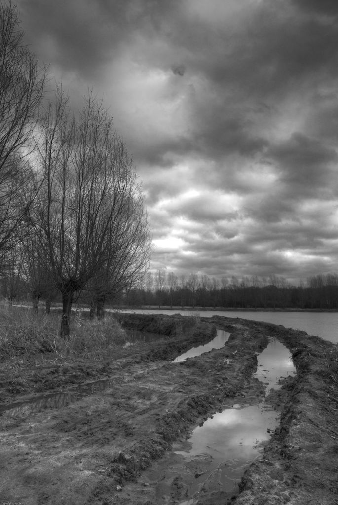 Roundabout in Hühnxe Equipped with 'Yield to Cyclists' Signs Sparks Debate: Explanation Provided
