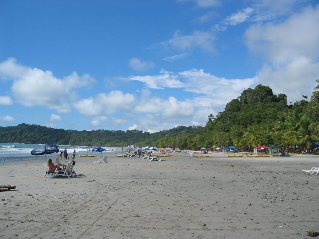 Financial institution Commerzbank seeks a 9.6% return on equity by 2025, banking heavily on...