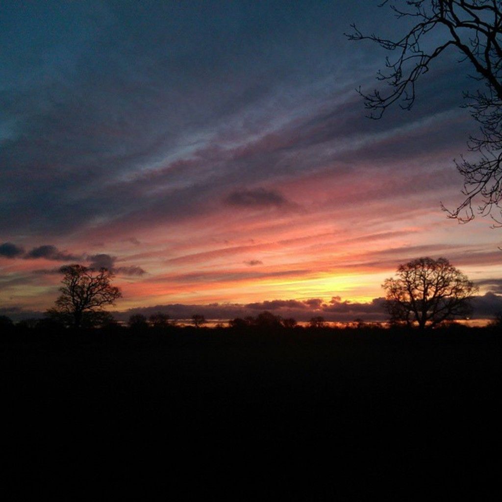 Potential purchasers deposited 2,500 checks for 138 apartments, with an average price of $2,680 per...