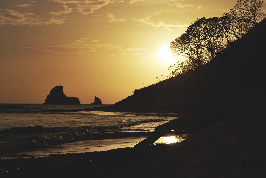 Year-end festivities often signify change and a chance to embark on new journeys, especially in...