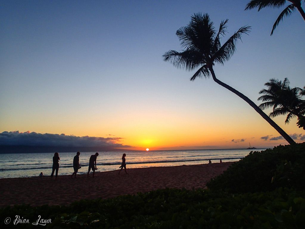 Uncover strategies to empower your abilities and knowledge, guiding and motivating others towards...