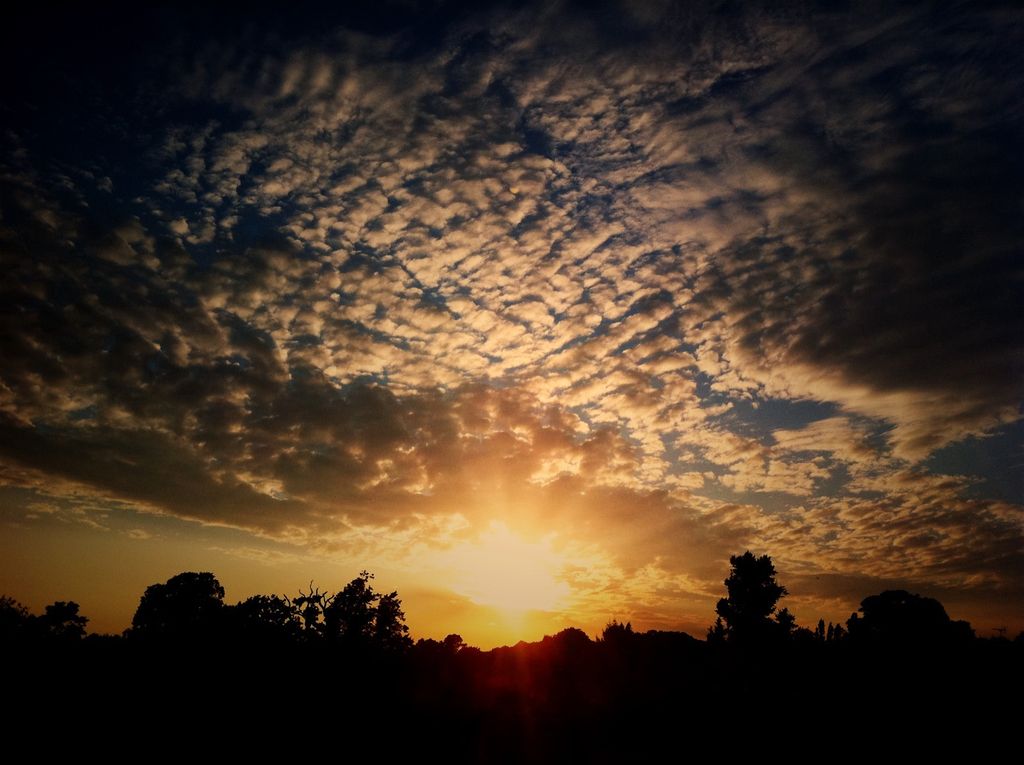 Smashed automobile window