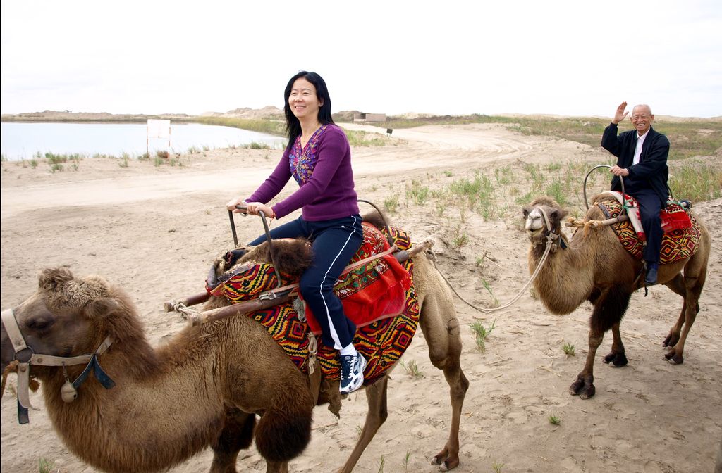 Commenced symbolically with a first shovel strike on Monday, the development of the S177 road...